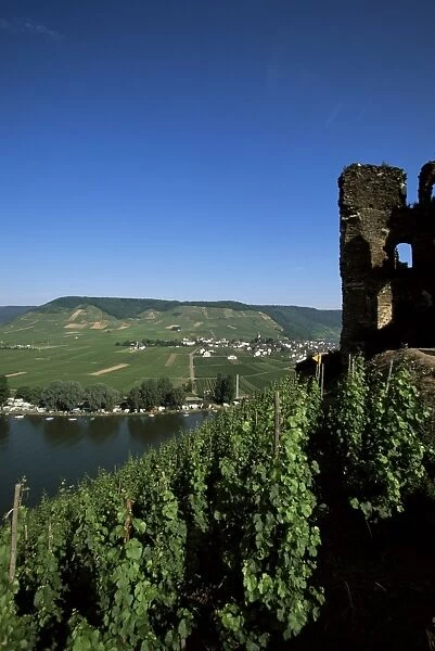 Gravenburg castle and vineyard above the River Mosel