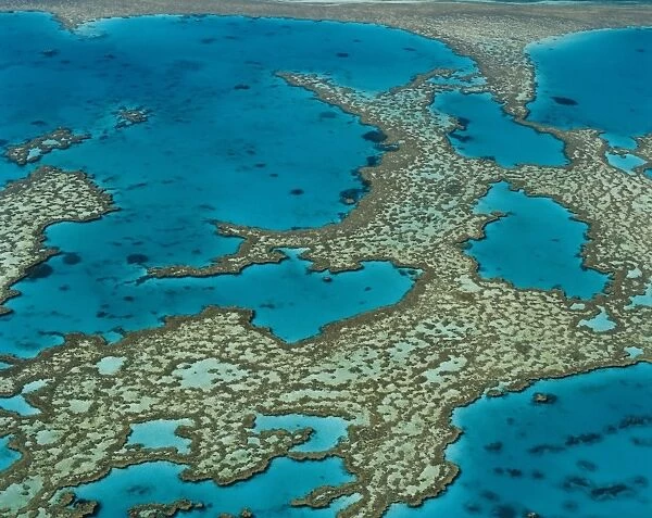 The Great Barrier Reef, Queensland, Australia