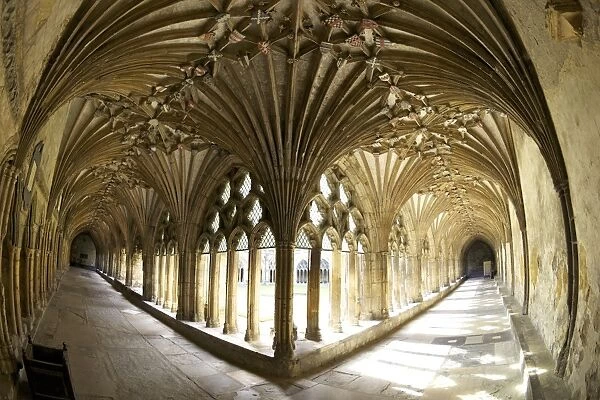 The Great Cloisters, Canterbury Cathedral, UNESCO World Heritage Site, Canterbury, Kent, England, United Kingdom, Europe