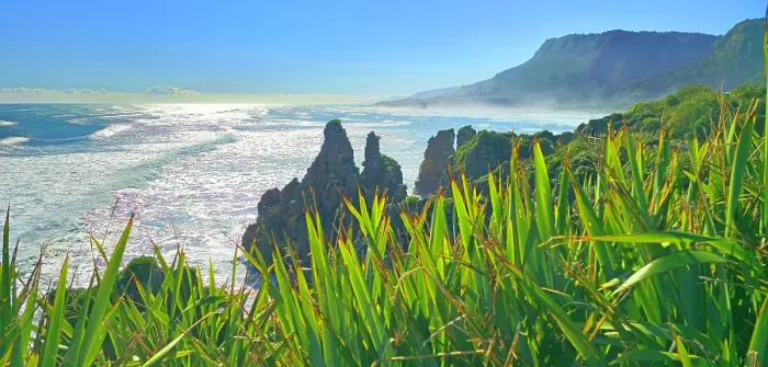 Framed Print : Great Coast Road, West Coast, South Island, New Zealand Framed Print : Great Coast Road, West Coast, South Island, New Zealand