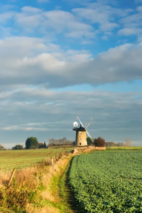 Framed Print : Great Haseley Windmill, Oxfordshire, England, United Kingdom, Europe Framed Print : Great Haseley Windmill, Oxfordshire, England, United Kingdom, Europe