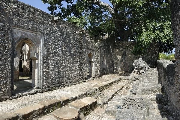 The great mosque, Kilwa Kisiwani Island, UNESCO World Heritage Site, Tanzania