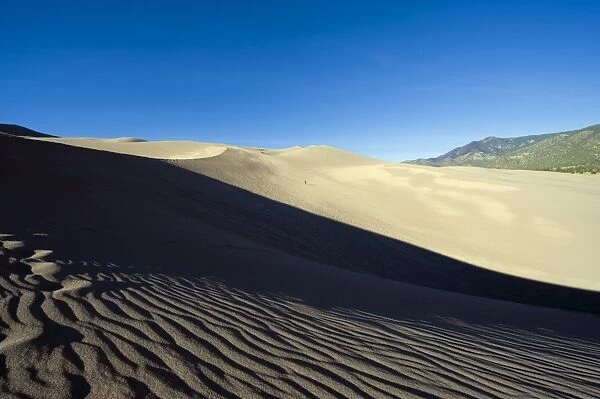 Great Sand Dunes National Park, Colorado, United States of America, North America
