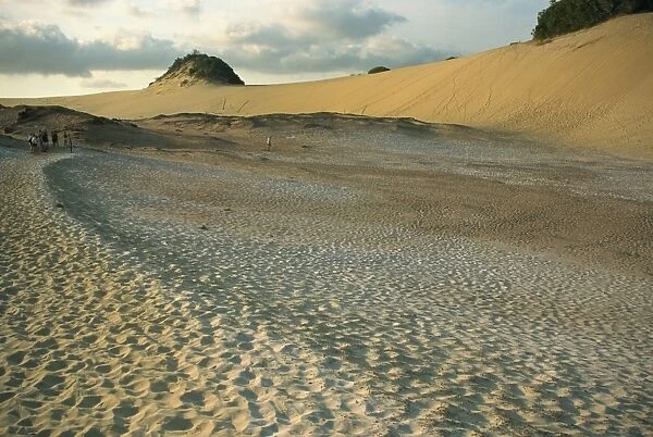 Great Sandy National Park, Fraser Island, UNESCO World Heritage Site, Queensland