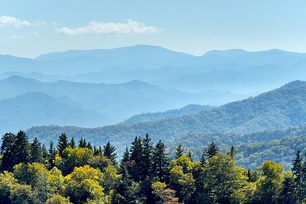 Great Smoky Mountains National Par, Newfound Gap, border of North Carolina and Tennessee
