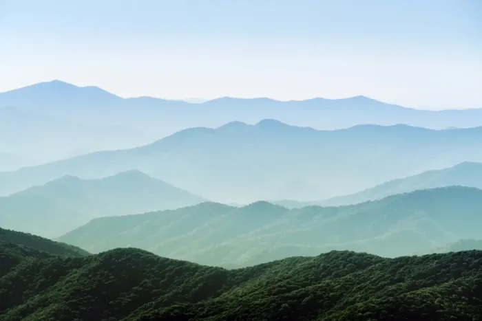 Framed Print : Great Smoky Mountains National Park, Clingmans Dome, border of North Carolina and Tennessee Framed Print : Great Smoky Mountains National Park, Clingmans Dome, border of North Carolina and Tennessee