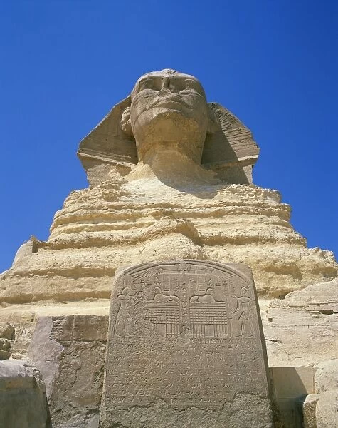 The Great Sphinx and tablet or stela, Giza, UNESCO World Heritage Site