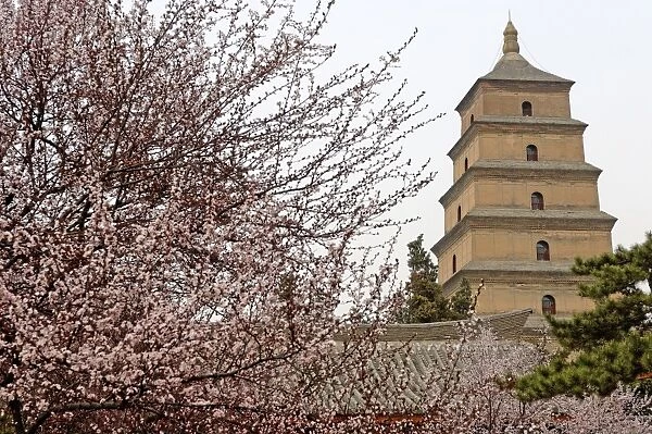 Great Wild Goose Pagoda (Dayanta) built during the Tang Dynasty in the 7th century