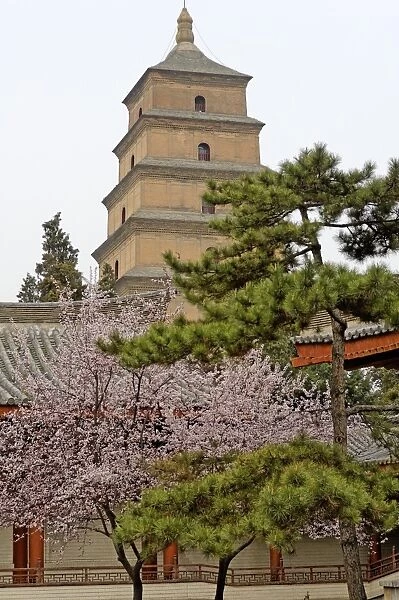 The Great Wild Goose Pagoda (Dayanta), dating from the Tang Dynasty in the 7th century