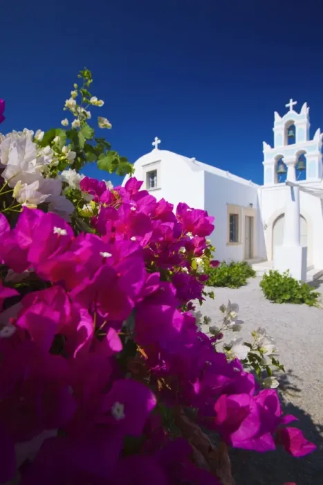 Framed Print : Greek church and flowers, Santorini, Cyclades, Greek Islands, Greece, Europe Framed Print : Greek church and flowers, Santorini, Cyclades, Greek Islands, Greece, Europe
