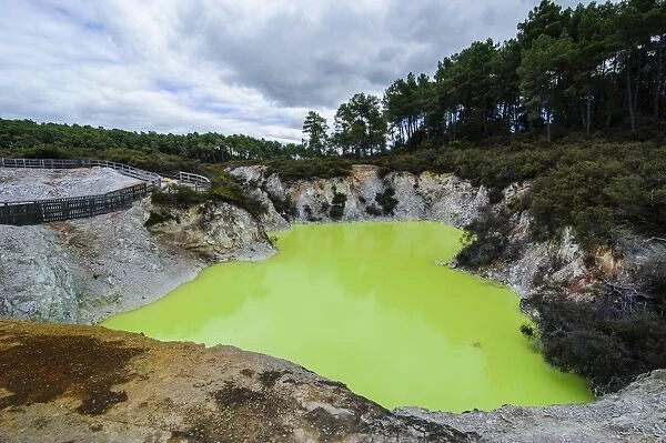 Very green acid crater in the Wai-O-Tapu Thermal Wonderland, Waiotapu, North Island, New Zealand, Pacific