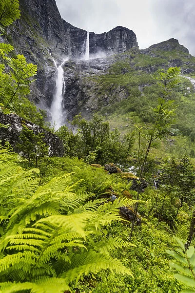 Green ferns along the course of majestic Mardalsfossen waterfall, Eikesdalen, Nesset