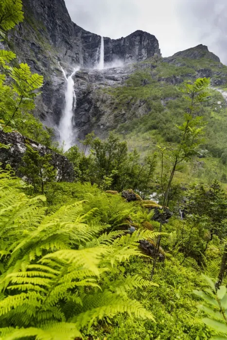 Framed Print : Green ferns along the course of majestic Mardalsfossen waterfall, Eikesdalen, Nesset Framed Print : Green ferns along the course of majestic Mardalsfossen waterfall, Eikesdalen, Nesset