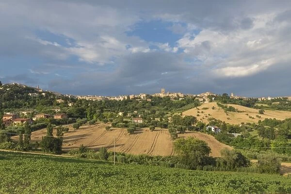 The green fields of countryside around the medieval hill town of Recanati, Province of Macerata