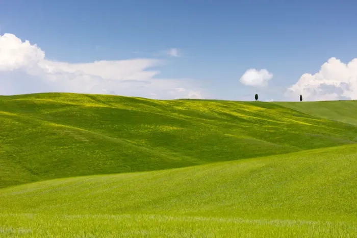 Framed Print : Green fields, Cypress trees and blue sky in Val d Orcia, UNESCO World Heritage Site Framed Print : Green fields, Cypress trees and blue sky in Val d Orcia, UNESCO World Heritage Site
