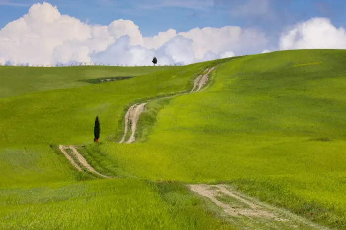 Framed Print : Green fields, Cypress trees and blue sky in Val d Orcia, UNESCO World Heritage Site Framed Print : Green fields, Cypress trees and blue sky in Val d Orcia, UNESCO World Heritage Site