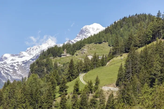Framed Print : Green forest and snowy mountains, San Romerio Alp, Brusio, Canton of Graubunden, Poschiavo Valley Framed Print : Green forest and snowy mountains, San Romerio Alp, Brusio, Canton of Graubunden, Poschiavo Valley