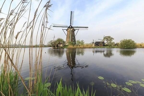 Green grass frames the windmills reflected in the canal, Kinderdijk, Rotterdam, South Holland