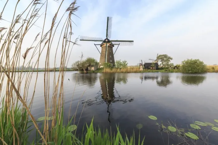 Framed Print : Green grass frames the windmills reflected in the canal, Kinderdijk, Rotterdam, South Holland
