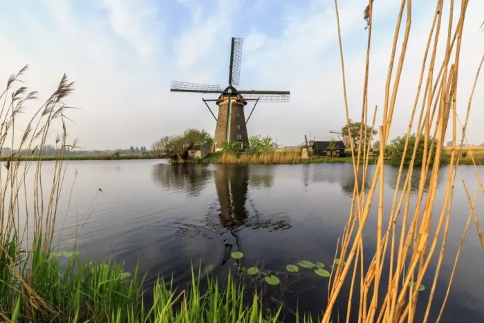 Framed Print : Green grass and reed beds frame the windmills reflected in the canal Kinderdijk, Rotterdam Framed Print : Green grass and reed beds frame the windmills reflected in the canal Kinderdijk, Rotterdam