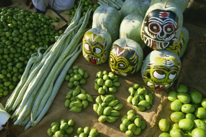 Framed Print : Green mangoes, snake gourds and squash painted with faces to hang in shop front to keep off evil spirits Framed Print : Green mangoes, snake gourds and squash painted with faces to hang in shop front to keep off evil spirits