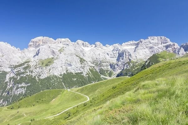 Green meadows frame the high rocky peaks, Doss Del Sabion, Pinzolo, Brenta Dolomites