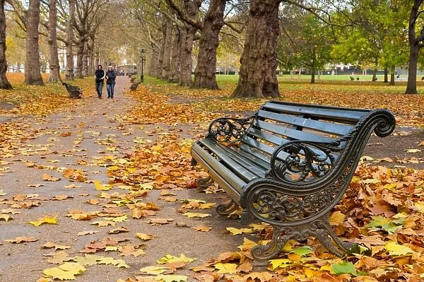 Green Park in autumn, London, England, United Kingdom, Europe