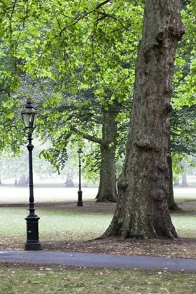 Green Park, London, England, United Kingdom, Europe