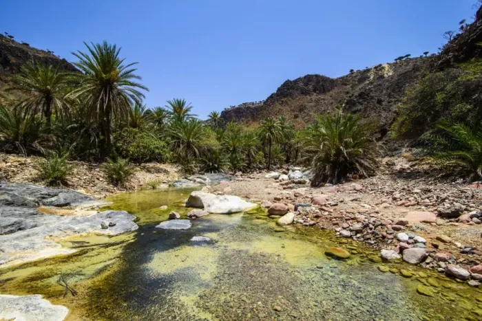Framed Print : Very green pond in a valley in the Dixsam plateau on the island of Socotra, UNESCO World Heritage Site, Yemen, Middle East Framed Print : Very green pond in a valley in the Dixsam plateau on the island of Socotra, UNESCO World Heritage Site, Yemen, Middle East
