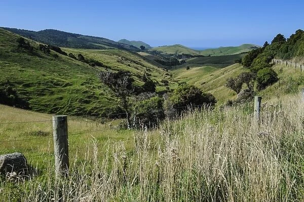 Green valley in the Catlins, South Island, New Zealand, Pacific