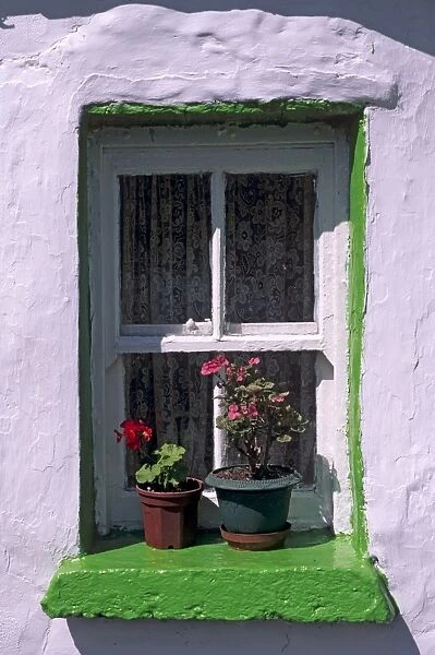 Green window in traditional house