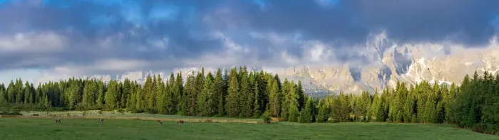 Framed Print : Green woods and pastures of Malga Nemes at sunrise in summer, Sesto (Sexten) Framed Print : Green woods and pastures of Malga Nemes at sunrise in summer, Sesto (Sexten)