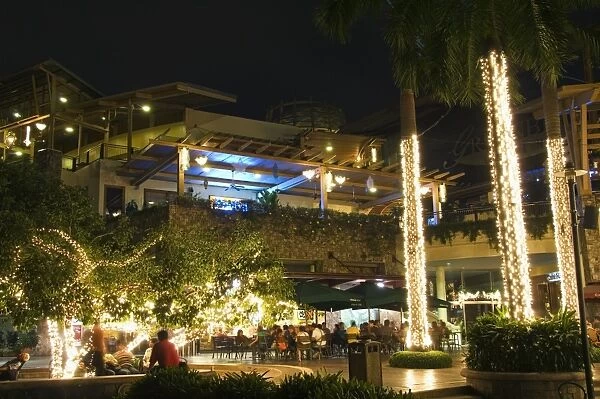 Greenbelt Entertainment Area with illuminated palm