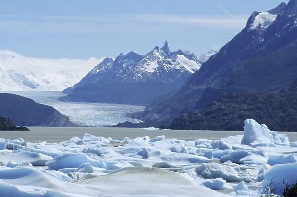 Grey Glacier, Torres del Paine National Park, Chile, South America