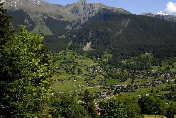 Grindelwald viewed from train to Kleine Scheidegg