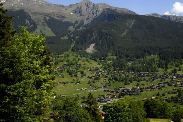 Framed Print : Grindelwald viewed from train to Kleine Scheidegg Framed Print : Grindelwald viewed from train to Kleine Scheidegg