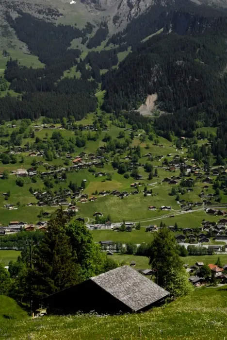Framed Print : Grindelwald viewed from train to Kleine Scheidegg Framed Print : Grindelwald viewed from train to Kleine Scheidegg