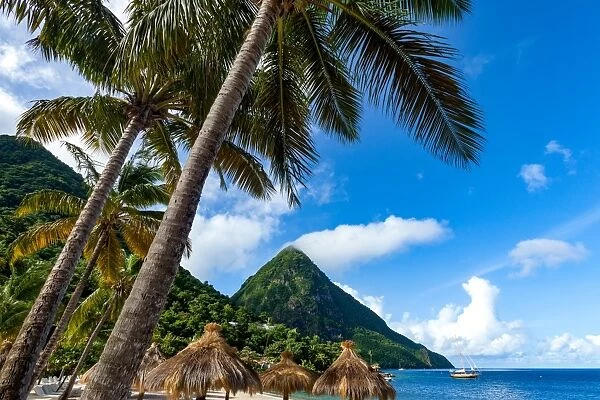 Gros Piton, with palm trees and thatched sun umbrellas, Sugar Beach, St. Lucia, Windward Islands