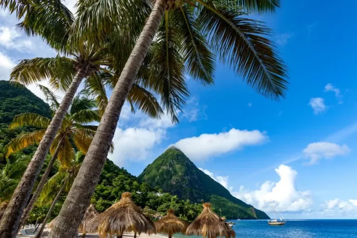Framed Print : Gros Piton, with palm trees and thatched sun umbrellas, Sugar Beach, St. Lucia, Windward Islands Framed Print : Gros Piton, with palm trees and thatched sun umbrellas, Sugar Beach, St. Lucia, Windward Islands