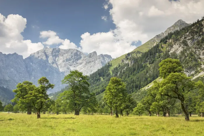 Framed Print : Grosser Ahornboden, maple trees, Karwendel mountains, nature reserve, Eng, Hinterriss Framed Print : Grosser Ahornboden, maple trees, Karwendel mountains, nature reserve, Eng, Hinterriss