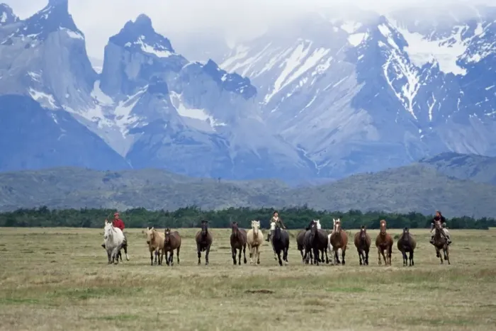 Framed Print : A group of gauchos riding horses, with the Cuernos del Paine (Horns of Paine) mountains behind Framed Print : A group of gauchos riding horses, with the Cuernos del Paine (Horns of Paine) mountains behind