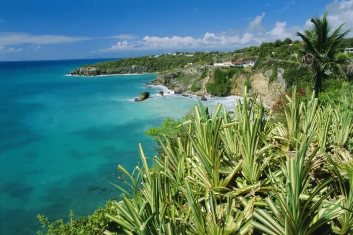 Framed Print : Guadeloupe Framed Print : Guadeloupe