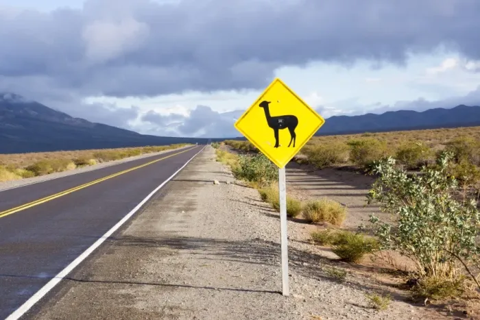 Framed Print : Guanaco sign, Argentina, South America Framed Print : Guanaco sign, Argentina, South America
