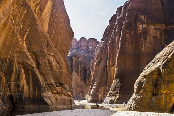 Guelta d Archei waterhole, Ennedi Plateau, UNESCO World Heritage Site, Ennedi region