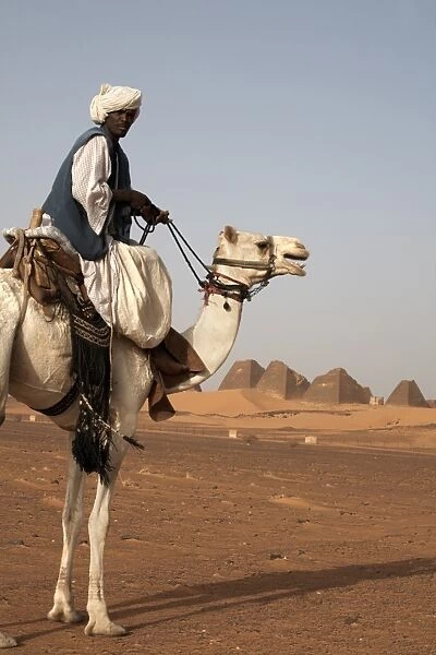 A guide and camel stand in front of the pyramids of Meroe