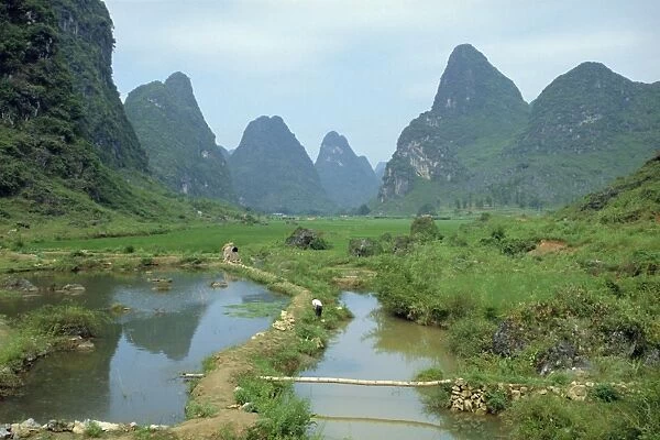 In Guilin, irrigation channel among rice paddies in area of limestone towers