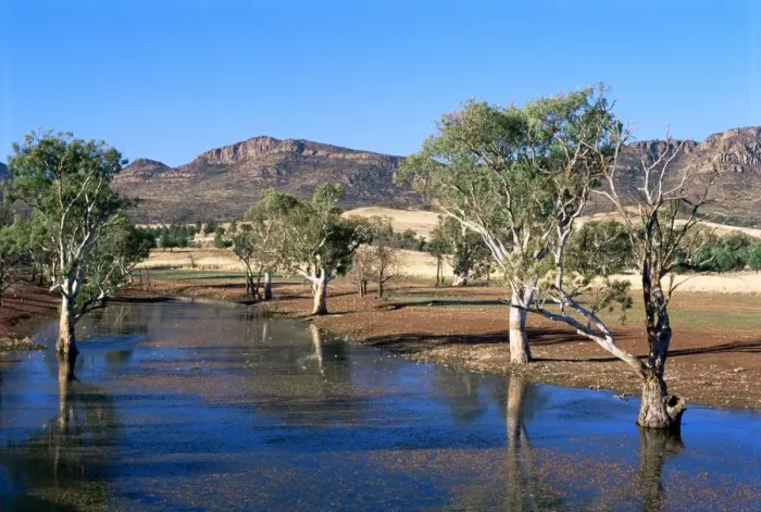 Framed Print : Gum trees in a billabong at Rawnsley, and southwest escarpment of Wilpena Pound Framed Print : Gum trees in a billabong at Rawnsley, and southwest escarpment of Wilpena Pound