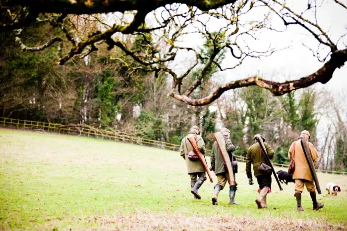 Framed Print : Guns walking to next drive, Dorset, England, United Kingdom, Europe Framed Print : Guns walking to next drive, Dorset, England, United Kingdom, Europe