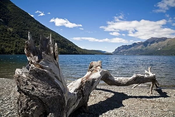 Guttierez Lake in Estancia Peuma Hue, Lake District, Patagonia, Argentina, South America