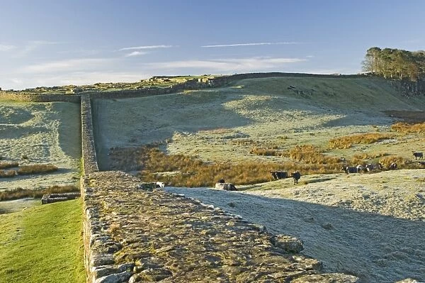 Hadrians Wall and Housesteads Roman Fort, UNESCO World Heritage Site, Northumbria